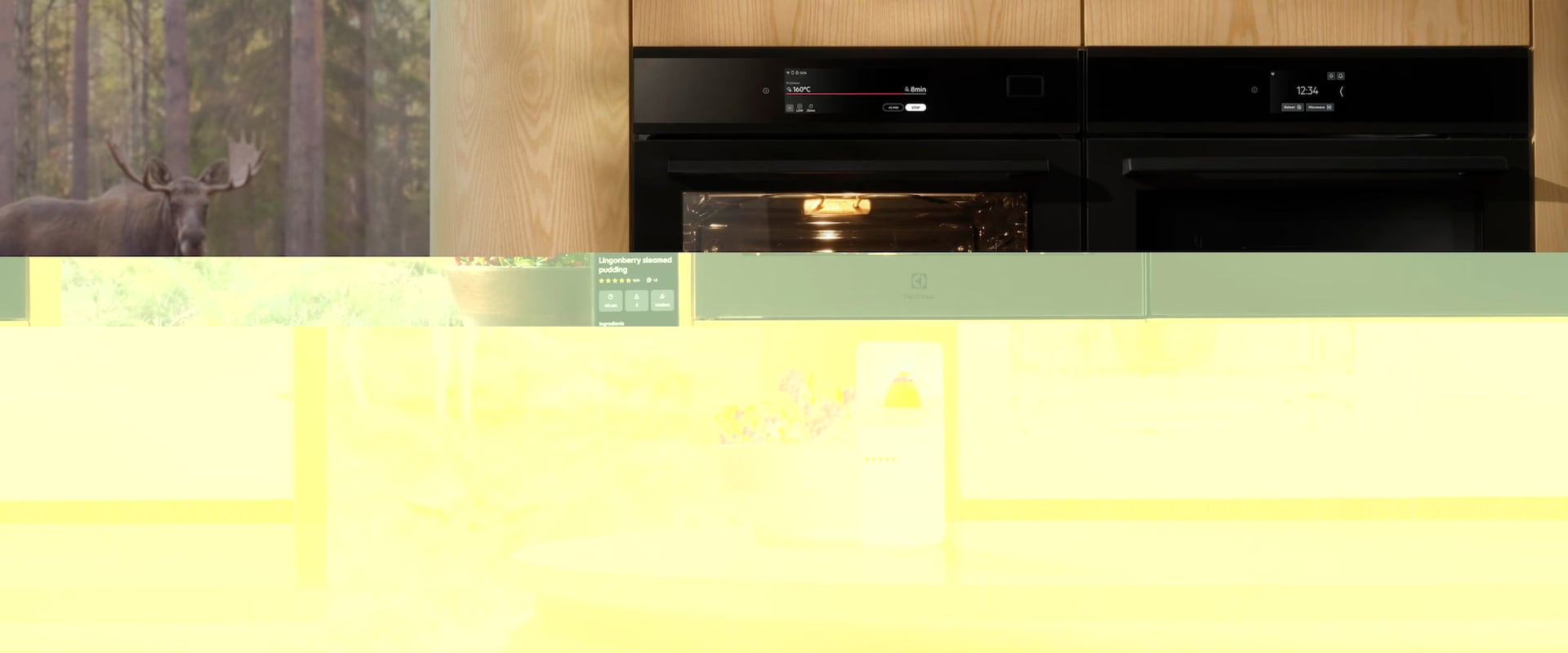 Piekarnik w domu, łoś za oknem.